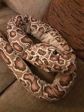 Ikea large snake for sale  SEAFORD