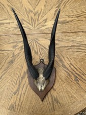 Antelope africa art for sale  SOLIHULL