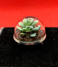 Unique terrarium plant d'occasion  Expédié en Belgium