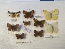 Collection bundle british for sale  CAERNARFON