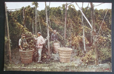old postcards kent for sale  HUNTINGDON