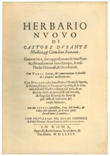 Herbario nuovo castore usato  Italia
