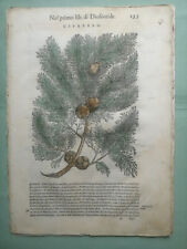 Mattioli pietro stampa usato  Perugia
