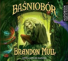 Basniobor buch biblioteka gebraucht kaufen Basniobor buch biblioteka gebraucht kaufen  Stuttgart