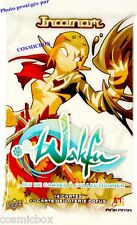 Booster cartes wakfu d'occasion  Chauvigny