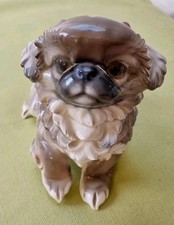 pekinese for sale pekinese for sale LONDON