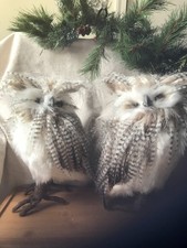 Snowy long eared for sale  Okemos