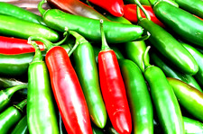 Serrano hot sweet for sale  USA