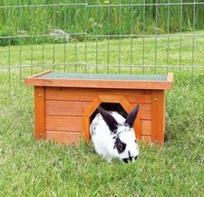 Bunny business small for sale  BURTON-ON-TRENT