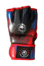 Guanti mma mixed usato  Napoli