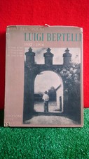 Libro nino bertocchi usato  Baricella