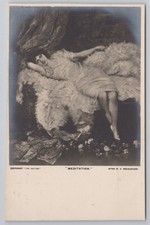 Usado, Tapete de urso polar eduardiano meditação W.A. Esboço Breakspeare comprar usado  Enviando para Brazil