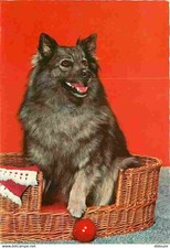 Animals dogs wicker d'occasion  Expédié en Belgium