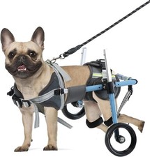 Small wheelchair dogs for sale  Charlotte