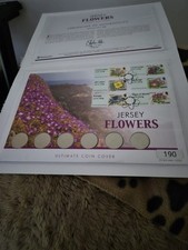 Westminster jersey flowera for sale  TELFORD