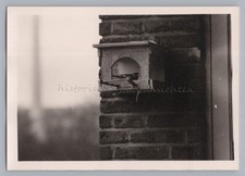 Vogel vogelhäuschen hausmauer gebraucht kaufen  Deutschland