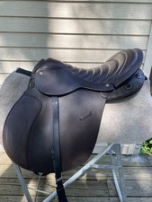 18.5 collegiate english for sale  Medina