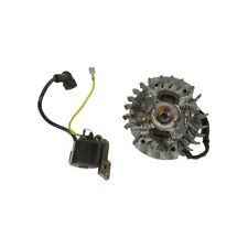 Motosega castor alpina usato  Altavilla Silentina
