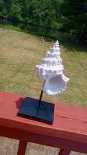White ceramic conk for sale  Salem