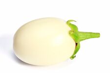 Samen eierbaum solanum gebraucht kaufen  Calw