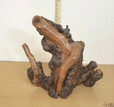 Large driftwood manzanita for sale  Medford
