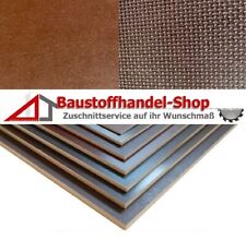 Siebdruckplatte 24 27 gebraucht kaufen  Winnweiler