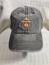 Smokey bear baseball for sale  Pollok