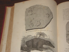 Libro edizione rilegata usato  Palermo