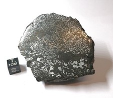 Putorana plateau 156g gebraucht kaufen  Essingen, Hochstadt, Ottersheim