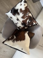 Pair beautiful brazilian for sale  HERTFORD