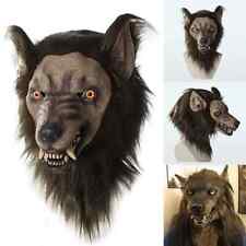 Full head wolf for sale  BLYTH