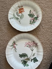 antique wedgewood plate for sale antique wedgewood plate for sale  Moscow