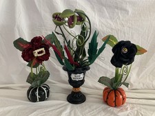 Halloween blood succulents for sale  Denver