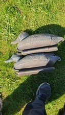 decoy bag for sale decoy bag for sale COCKERMOUTH