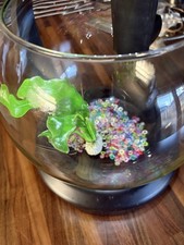 Fishbowl stand pump for sale Fishbowl stand pump for sale  WARRINGTON