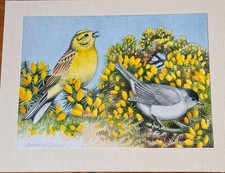 Original watercolour sketch for sale  KEIGHLEY