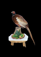 Taxidermy ring necked for sale  DARLINGTON
