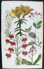1757 stampa antica usato  Urbino