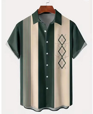 Camicia verde beige usato  Villar Focchiardo