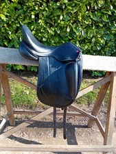 Albion fabrento dressage for sale  CHELTENHAM