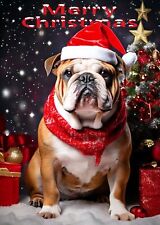 British bulldog christmas for sale  SHOREHAM-BY-SEA