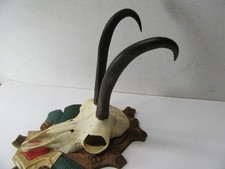 Schöne gams gamsgeiss gebraucht kaufen Schöne gams gamsgeiss gebraucht kaufen  Pfronten