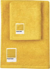 Pantone handtücher fürs gebraucht kaufen  Ganderkesee