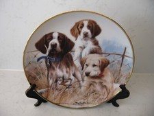labrador plates for sale labrador plates for sale WELLINGBOROUGH