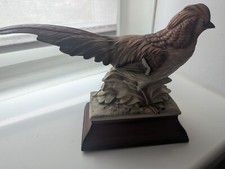 live pheasants for sale live pheasants for sale GLASGOW