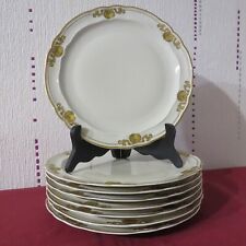 Assiettes plates porcelaine d'occasion  Thiaucourt-Regniéville