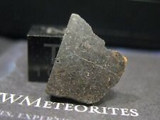 Meteorite rafsa 005 for sale  SHETLAND