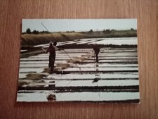 Postcard ile ré d'occasion  Expédié en Belgium