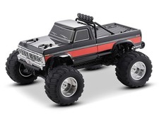 Fms ford f100 gebraucht kaufen  Hürtgenwald