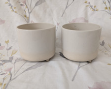 Matching indoor plant for sale  CLYDEBANK